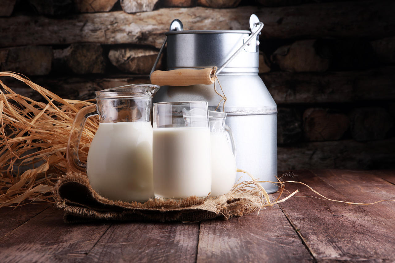 “Unveiling the Details of Buffalo Milk for Weight Loss”